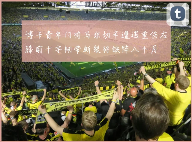 博卡青年门将马尔切辛遭遇重伤右膝前十字韧带断裂将缺阵八个月